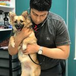 کلینیک دامپزشکی و پت شاپ گیلانا