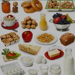 لبنیات سنتی زمرد