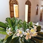 اقامتگاه ناخوو