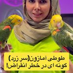 کلینیک دامپزشکی مرکزی(دکتر مریم حیدرلو)