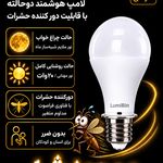 لومی بین