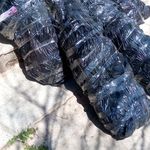 نهالستان برزگر