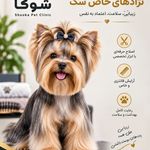 کلینیک حیوانات خانگی شوکا