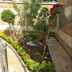 خدمات باغبانی هرس کاری گلکاری سمپاشی