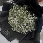 گلفروشی پالیز