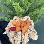سوخاری کیلویی چیکو