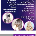 سالن تخصصی پرواز سایه ها