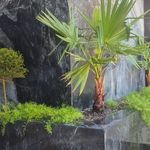 خدمات باغبانی فضای سبز