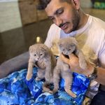 پت شاپ فراز (عظیمیه)