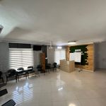 دپارتمان زبان امین