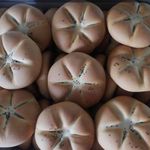 لبنیات سنتی اصیل