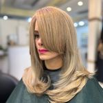 خدمات تخصصی رنگ و لایت و کوتاهی مو هستی