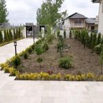 خدمات باغبانی هرس کاری گلکاری سمپاشی