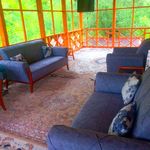 بومگردی شمعدونی فومن