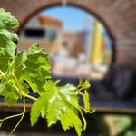 کافه رستوران چیترا مجموعه قرقاول فدک