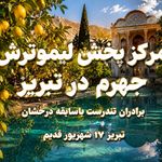 لیمو فروشی تندرست