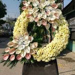 گلفروشی بلومی جهانشهر