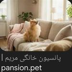 پانسیون سگ مریم (بهترین پانسیون تهران)