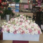 گل فروشی آندیا (شعبه یک)