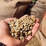 عمده  قهوه پویان تماس بگیرید