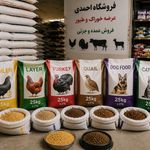 فروشگاه خوراک دام و طیور احمدی