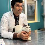 کلینیک دامپزشکی و پت شاپ گیلانا