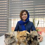 کلینیک دامپزشکی تخصصی نیک پلاس