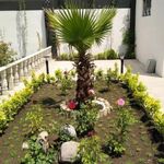 خدمات باغبانی هرس کاری گلکاری سمپاشی