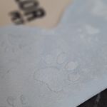 ملزومات پت شاپ تیلور پت■Tailor Pet