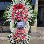 گل فروشی دنیز (آنلاین) -ارسال فوری