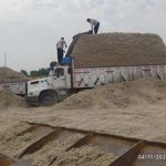 توضیع خوراک دام وکاه نیشکر