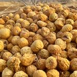 (مِستر انجیر)فروشگاه تخصصی انجیر استهبان