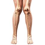 ارتوپدی فنی نبض حرکت، اسکن کف پا،کفی طبی