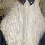 محبوبه دارونی تخصص رنگ و لایت