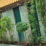 خدمات باغبانی فضای سبز