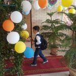 دبستان  بدون شکست کاج