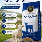 نانوفناوران گیتی دام
