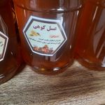 عسل فروشی کندو محلات