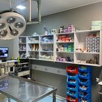 بیمارستان دامپزشکی شبانه روزی درنیکا