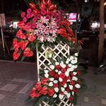 گلفروشی ندرلند
