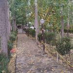 کافه رستوران باغ دلشگا