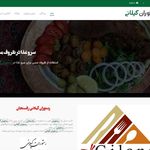 طراحی سایت بایت نت (با سئو و هاستینگ)