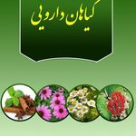 حجامت استاد حمیدی