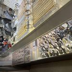 بدلیجات ام جی