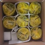 قطعات یدکی لوازم تراکتور لوول و یوروپارس