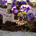 سالن زیبایی گیل بانو