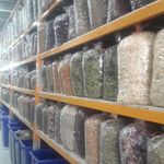 عطاری حاجی صحرایی