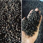 بازرگانی جهانبخش