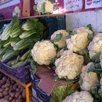 تره بار فروشی برسام