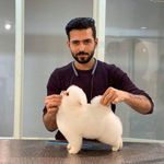 آرایشگاه حیوانات خانگی ادریس پت گرومینگ